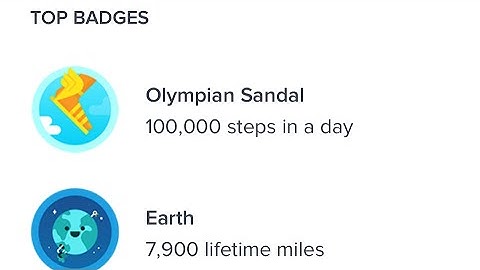 Getting all the Fitbit badges! Fitness technology Friday and why you should use a fitness tracker