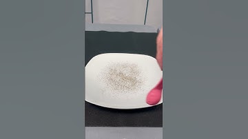 Static Electricity #shorts  #education #scienceactivitiesforkids #sciencefactsforkids