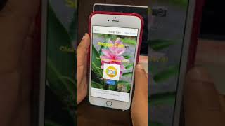 Thunkable App -“Snappy Cam” - Ruhi