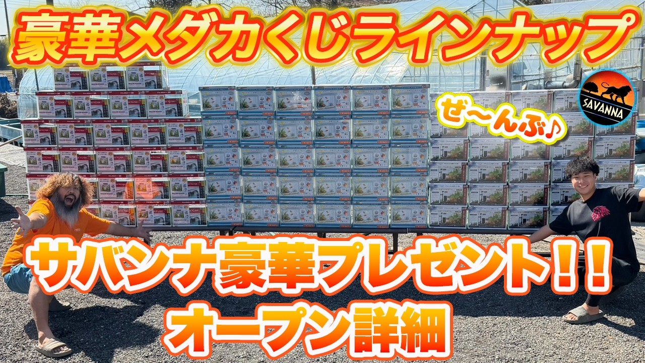 【大注目！！3月15日遂に...】豪華景品たくさん届きました！サバンナオープンの詳細