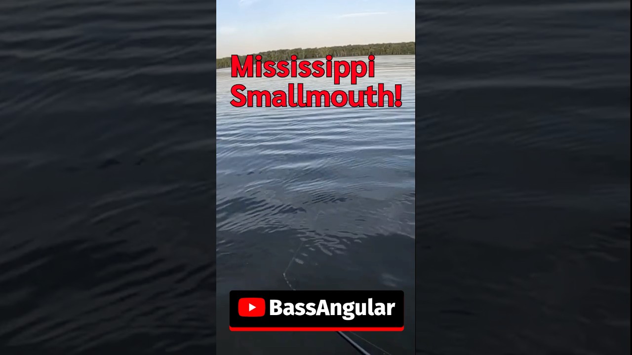 That Cast Just Changed Everything 