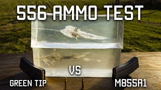 556 Ammo Test | Green Tip VS M855A1 | Tactical Rifleman