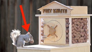 (हिंदी) Backyard Squirrel Maze 2.0- The Walnut Heist _Mark Rober hindi