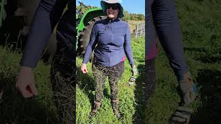 human scarecrow. no,it's not coming off.😢