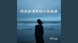 你不知道我的心在流泪 (破碎版)