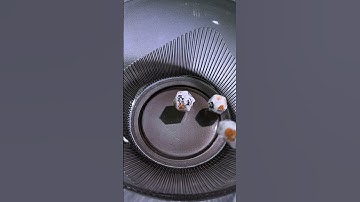 9 Polyhedral DnD Sets Dice Pawfect Diary #dice #ttrpg #dnd #dnddice #diceset