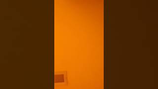 Billie Eilish Fan Club