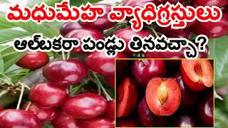 మధుమేహ వ్యాధిగ్రస్తులు ఆల్‌బకరా పండ్లు తినవచ్చా?