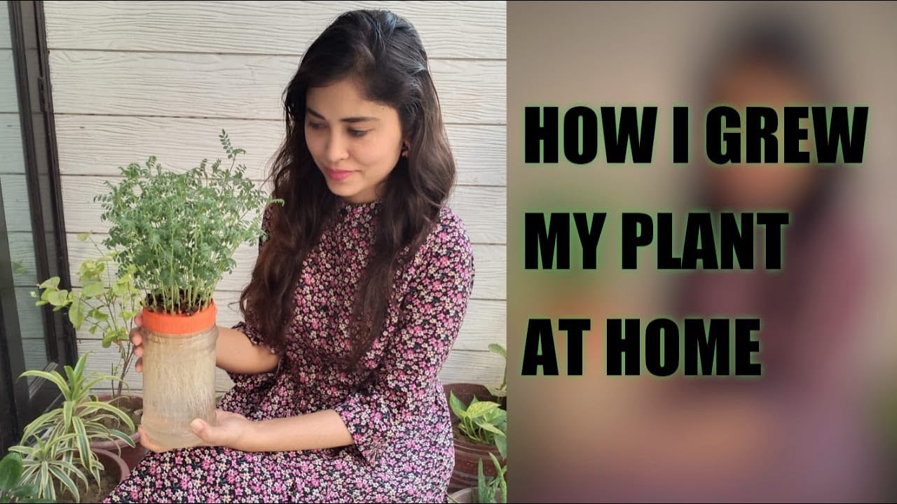 #howtogrowplantathome