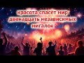 Бросаю вызов у кого длиннее. Двенадцать мигалок в одной связке