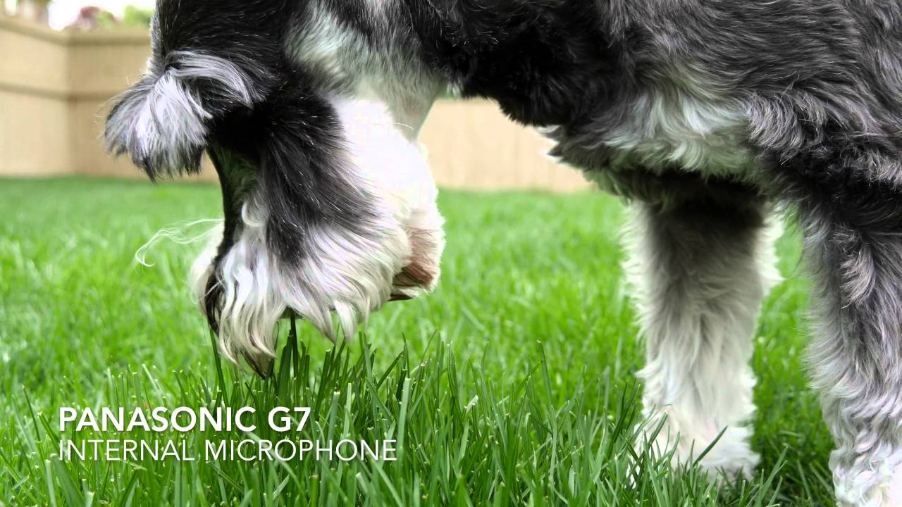 Panasonic G7 Internal Microphone vs. RØDE Stereo VideoMic Pro