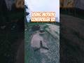 Using motion controller v2 #drone #fpv #dji #motioncontroller