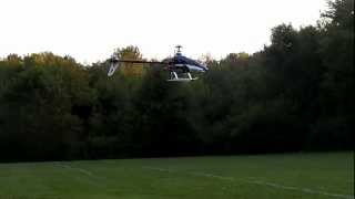 Blade  450x first time hover