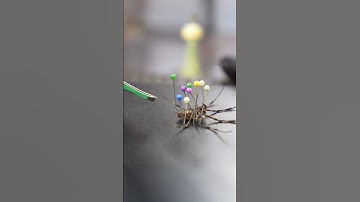 Milking spiders to make a guitar string