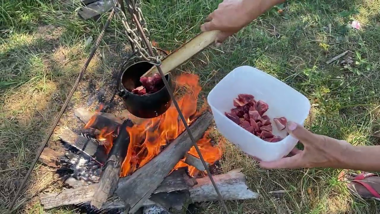 Pescaria deu até cobra da água 