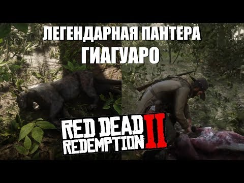 RDR 2 - Легендарная пантера Гиагуаро