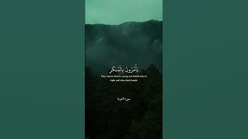 القران الكريم quran قران تلاوة خاشعة سعود الشريم مكة المدينة لا اله الا الله explore tiktok تصاميم
