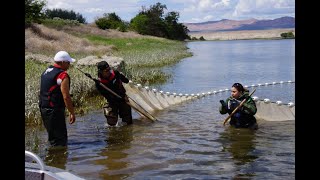 CTUIR CAP Webinar Three  Climate and Fish