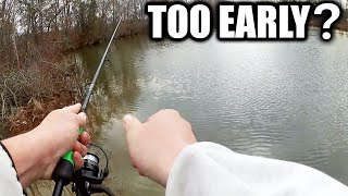 When Do the Bluegill Come Back to Shallow Water? Early Spring Fishing