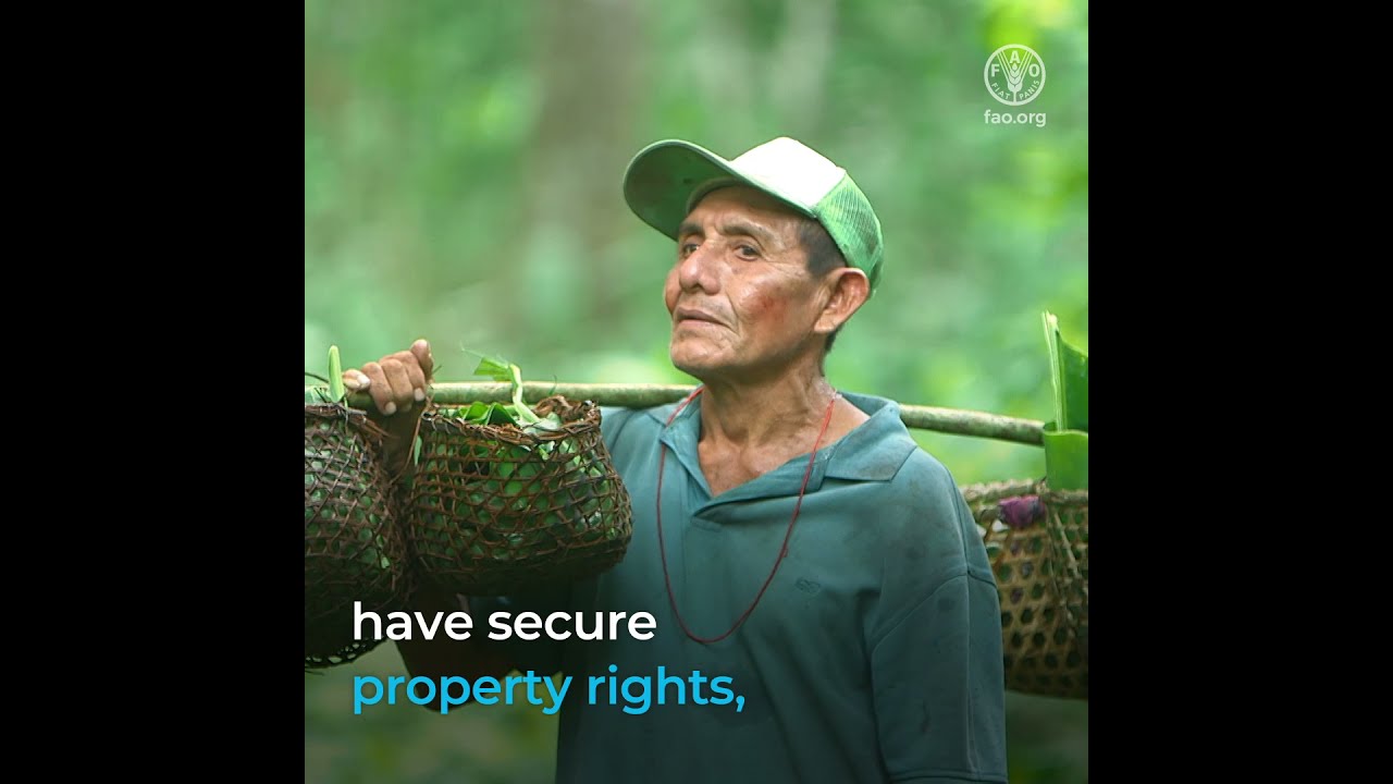 Indigenous peoples are the guardians of the future of Latin America and the Caribbean