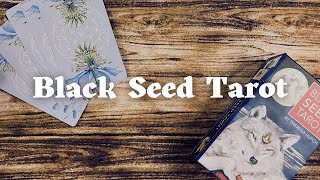 Black Seed Tarot | Walkthrough and First Impressions