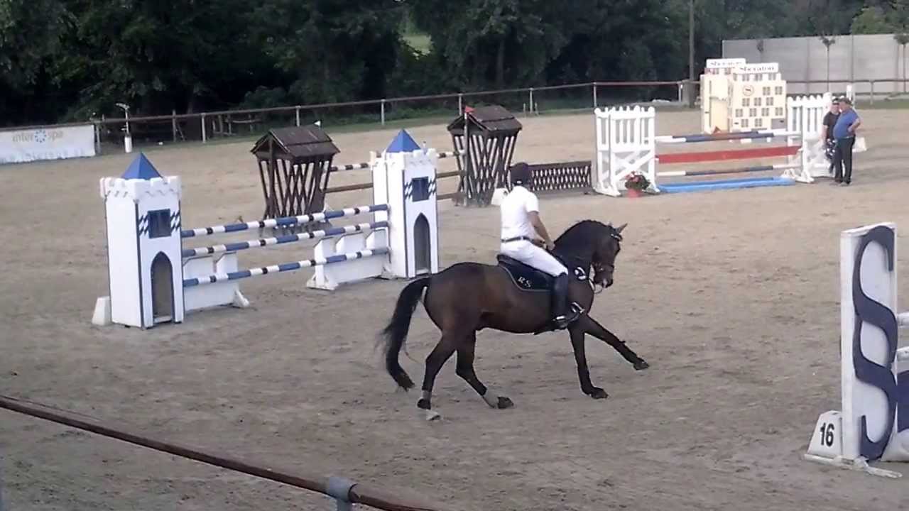 dusan sabo alibaba 120cm