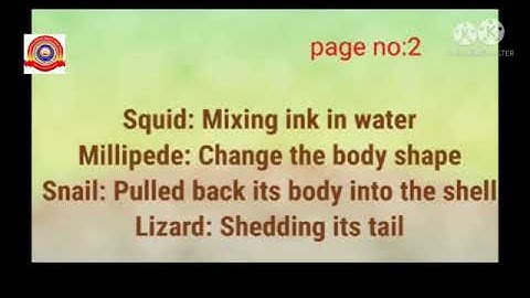 Standard 3 Evs Chapter 2 Notes .From Doodlebug to Tusker.