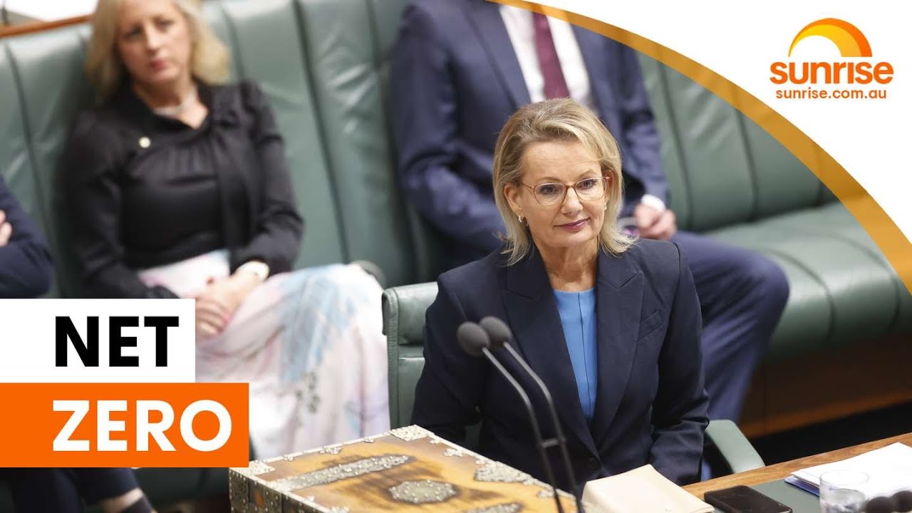 MP's debate over net zero | Sunrise