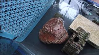 百均商品を用いた幅60cm奥行き30cmの水槽用の手作りセパレーター