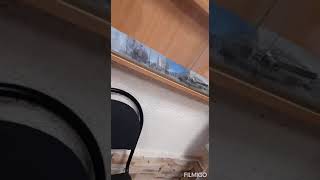 Получили ответ на один запрос (из двух)из Государственного архива Пермского края.
