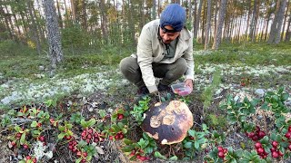 ANG DAMI!!!😮 WILD GIANT MUSHROOMS AND LINGONBERRIES SA GUBAT!!! PICK / FORAGE, CLEAN, COOK & EAT!