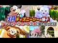 【3月ディズニー】シーで朝から晩までのんびり遊んだ日。ダンス・ザ・グローブ!が絶対に見たい...!! / 東京ディズニーシー