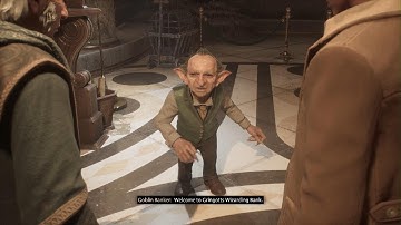 Hogwarts Legacy Fanciest Loading Screen