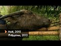 We are World Animal Protection | Move the world to protect animals