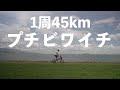 1周45kmのプチビワイチ！折り畳み自転車で走ったら最高すぎた！