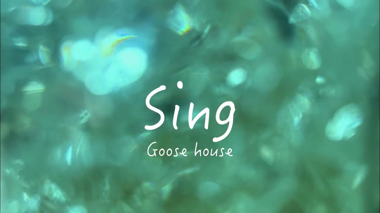 Sing / Goose house (cover) YouTube