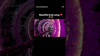 #flower entry #mirror entry #cold payro entry