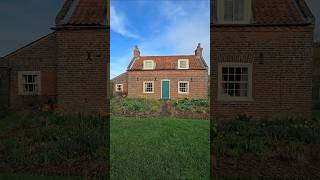 Early garden colours #cottagegarden #gardening #smallholder #homestead