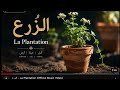 الزرع La Plantation أغنية جديدة 2026 mp3
