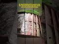impulse blading turbine convert water flow to electricity#impulse #turbine