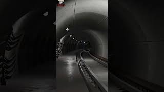 #zoonomaly #360 #vrl #viral #video #animation #arisevr360 #horror #scary #shorts