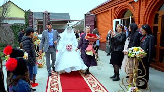 Шикарная Свадьба Хасана и Петимат. (Чечня) Алхан-Кала. 11.04.2021. Видео Студия Шархан