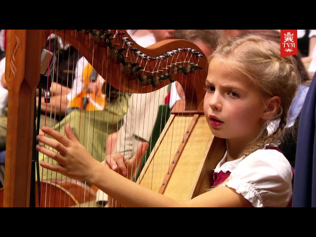 FLACHVIERTLER MUSIKANTEN - Spielleit, spielts den auf