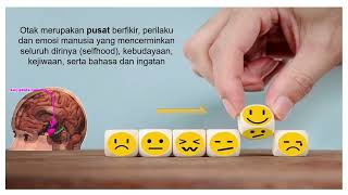 HAKIKAT PERKEMBANGAN OTAK