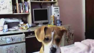 Capture 20090115