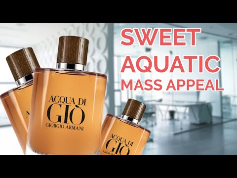gio absolu review
