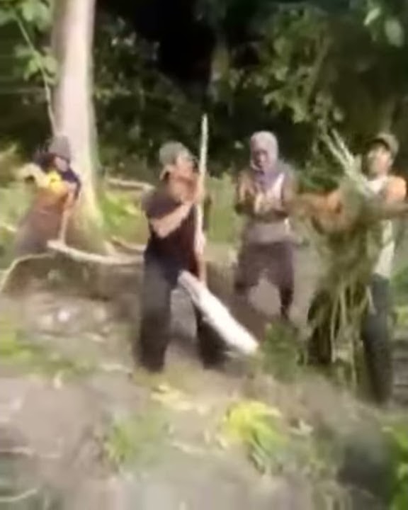 Vidio lucu ngeres banget