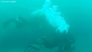 Tuffo 12 ottobre 2025