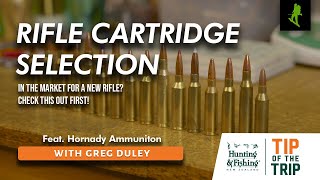 Rifle Cartridge Selection - In The Market For A New Rifle? WATCH THIS! #nzhunteradventures