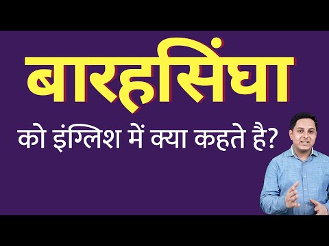 वीडियो: सांता के बारहसिंगों के नाम क्या हैं?